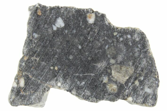 Polished Lunar Meteorite ( g) Section - NWA #360243